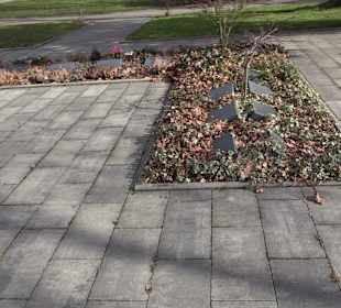 Friedhof Frickenhausen