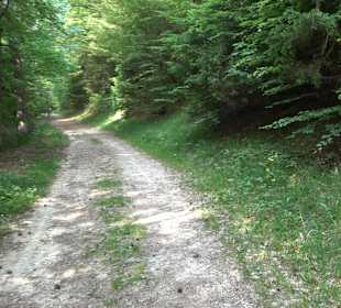 Waldlehrpfad in Tieringen
