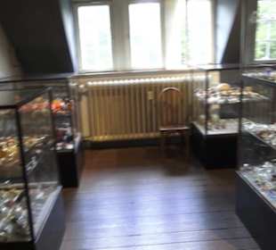SchweineMuseum