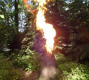 Mit dem Jeep unterwegs