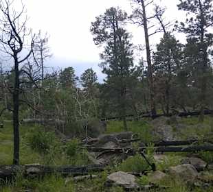 Devils Tower, Wyoming