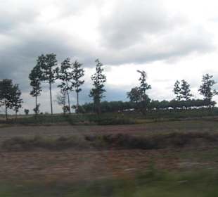 Wang Sam Mo