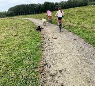 Wandern Nieuwvliet-Bad