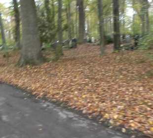 Waldfriedhof