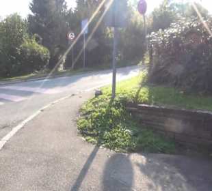 Brunnen Königsträßle