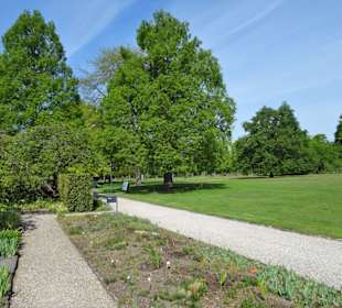 Spaziergang durch den Berggarten Hannover