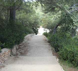 Treppe zum Strand...Cala sa Nau
