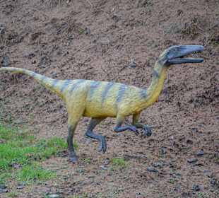 Kompleks turystyczny w Bałtowie