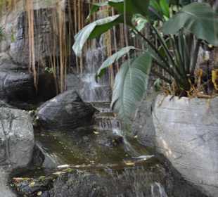 Golden Mount und Wat Saket