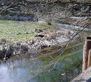 Tierpark Hellabrunn in München
