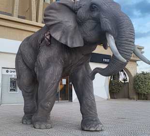 Einkaufen & Shopping