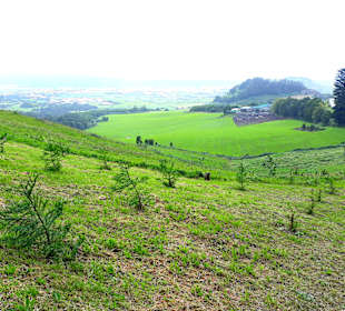 Aussichtspunkt Bela Vista