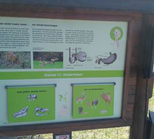 Hinweistafel am Lehrpfad