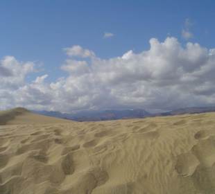 Dünen von Maspalomas/Playa del Ingles