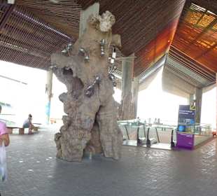 Eingangsbereich Flower Dome