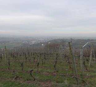 Unterjesinger Wengertwegle