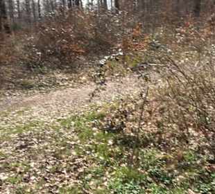 Geologischer Lehrpfad Kirnbachtal