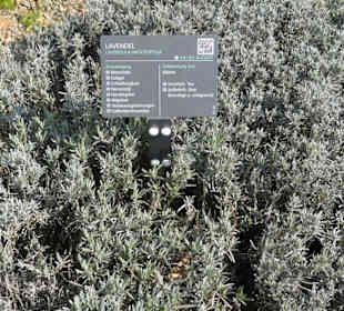 Erläuterungen der Kräuter