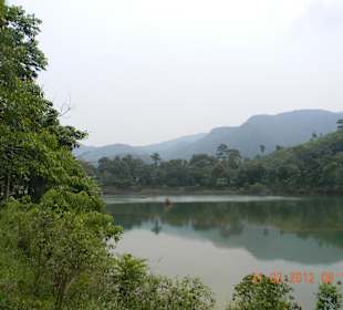Auf der Dschungeltour