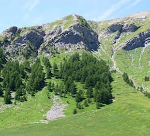 Aussicht Umgebung Halte 2000