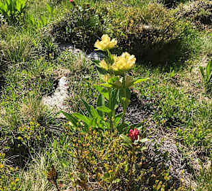 Wandern Kaltenbach
