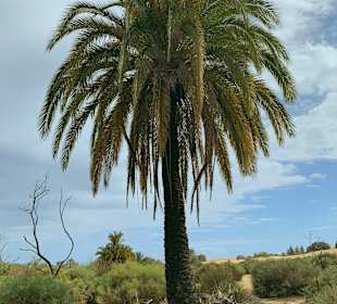 Strand Maspalomas