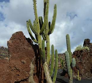 Es könnte in Arizona sein