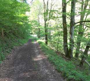 Premiumwanderweg Hochgehschätzt