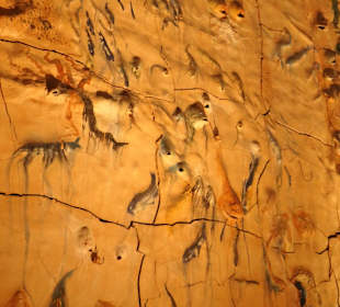 Die Kathedrale von Palma