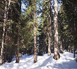 Wandern Reit Im Winkl