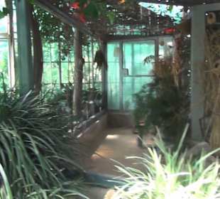 Kleinsäuger + Vogelhaus