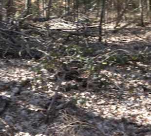 Historischer Rundwanderweg Aichtal