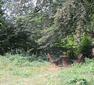  Pfälzer Hüttensteig