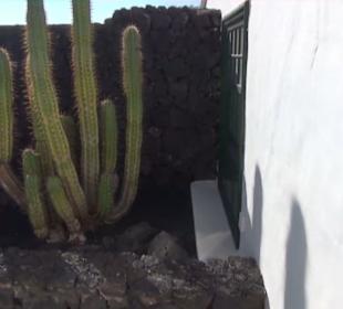 Fundacion Cesar Manrique