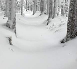 Wandern St. Stefan am Walde