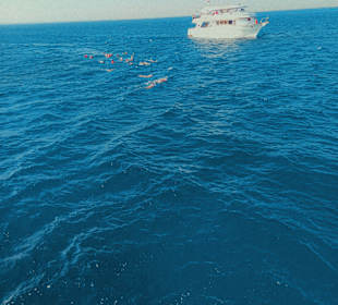 Delfin Tour Makadi Bay