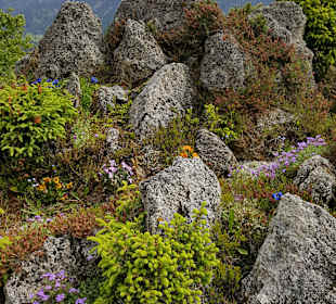 Wandern Berg im Drautal