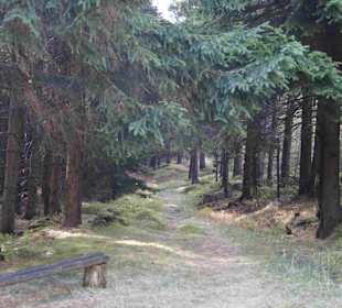 Riesengebirge/Karkonosze