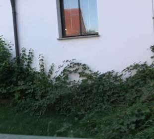 Reformations-Gedächtnis-Kirche Hadern