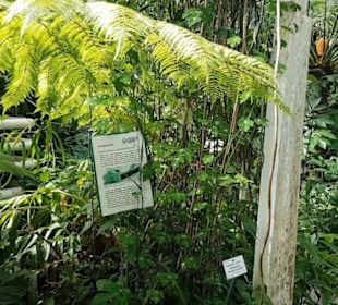 Botanischer Garten