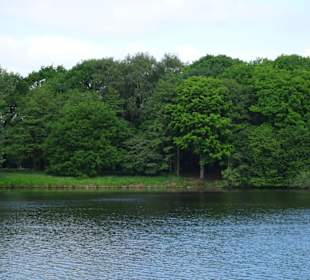 Impressionen vom Rundgang um den Tweelbäker See