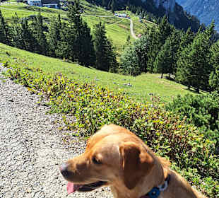 Wandern Bernau am Chiemsee