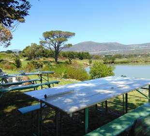 Cape Point Vineyards in Noordhoek