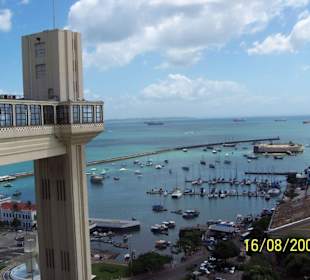 Salvador -Down Under