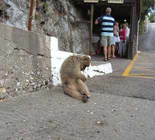 Eingang zur St. Michaels Höhle