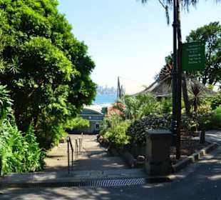 Taronga Zoo
