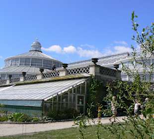 Das große Palmenhaus