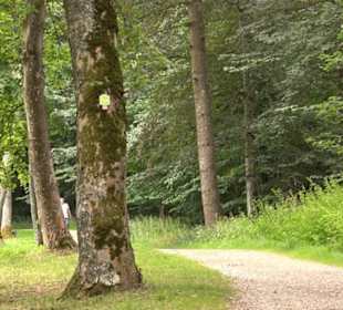 Hochgeträumt Premiumwanderung