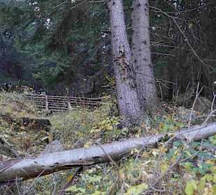 Riesengebirge/Karkonosze