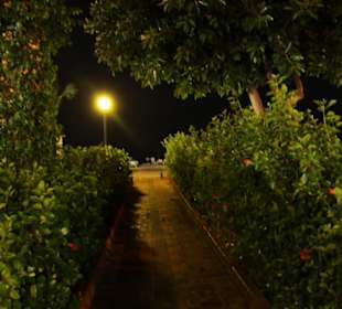 Alanya Gemeinde (Park)